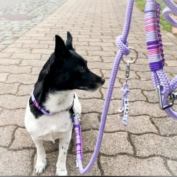 'Purple Unicorn' Set