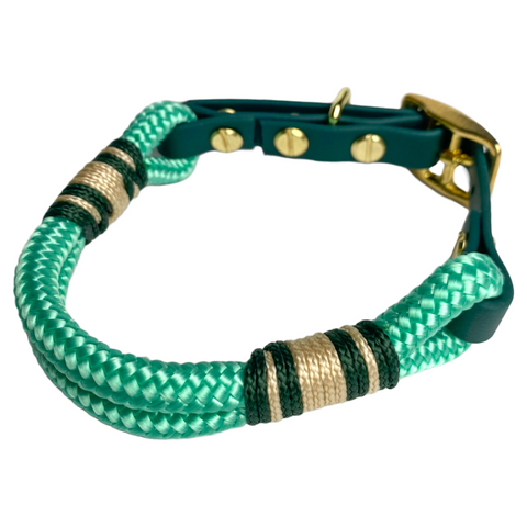 Golden Mint Tauhalsband für Hunde - handgemacht, verstellbar, goldene Details